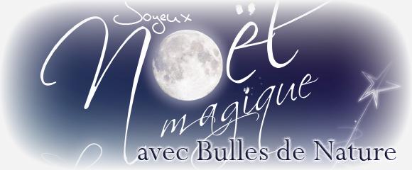 Noel bullesdenature fg 1